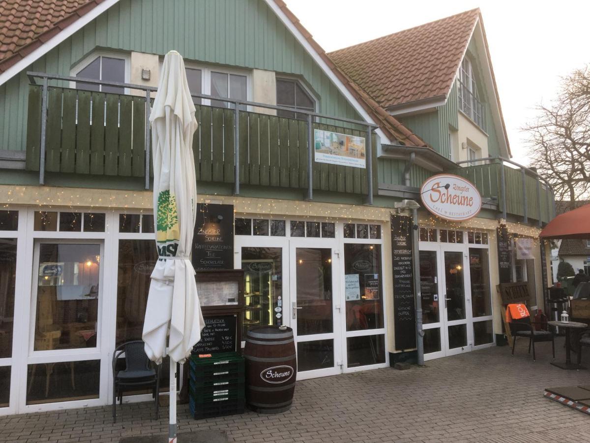 Doppelhaushaelfte Birkenstrasse 5E Villa Zingst Buitenkant foto