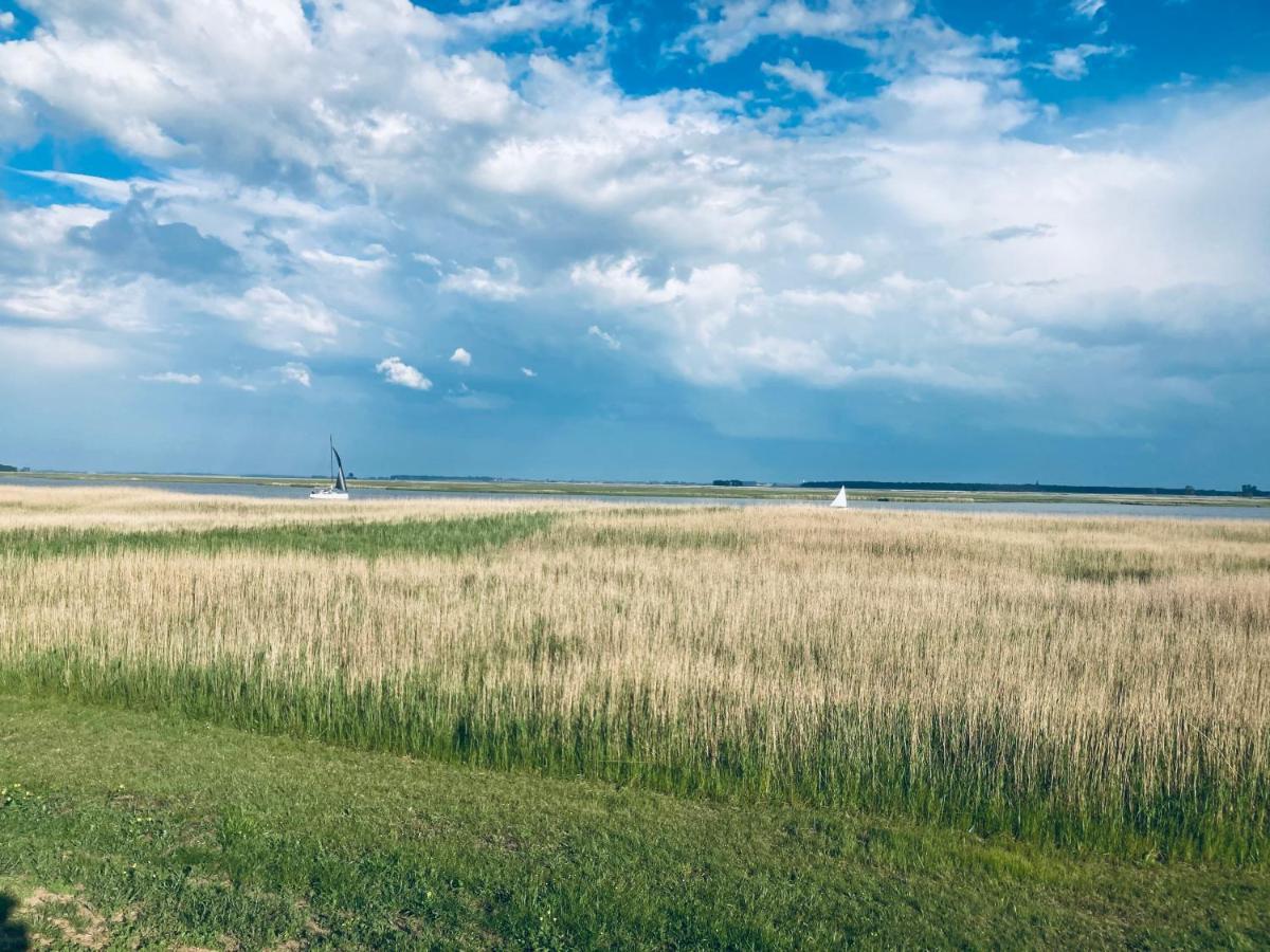 Doppelhaushaelfte Birkenstrasse 5E Villa Zingst Buitenkant foto