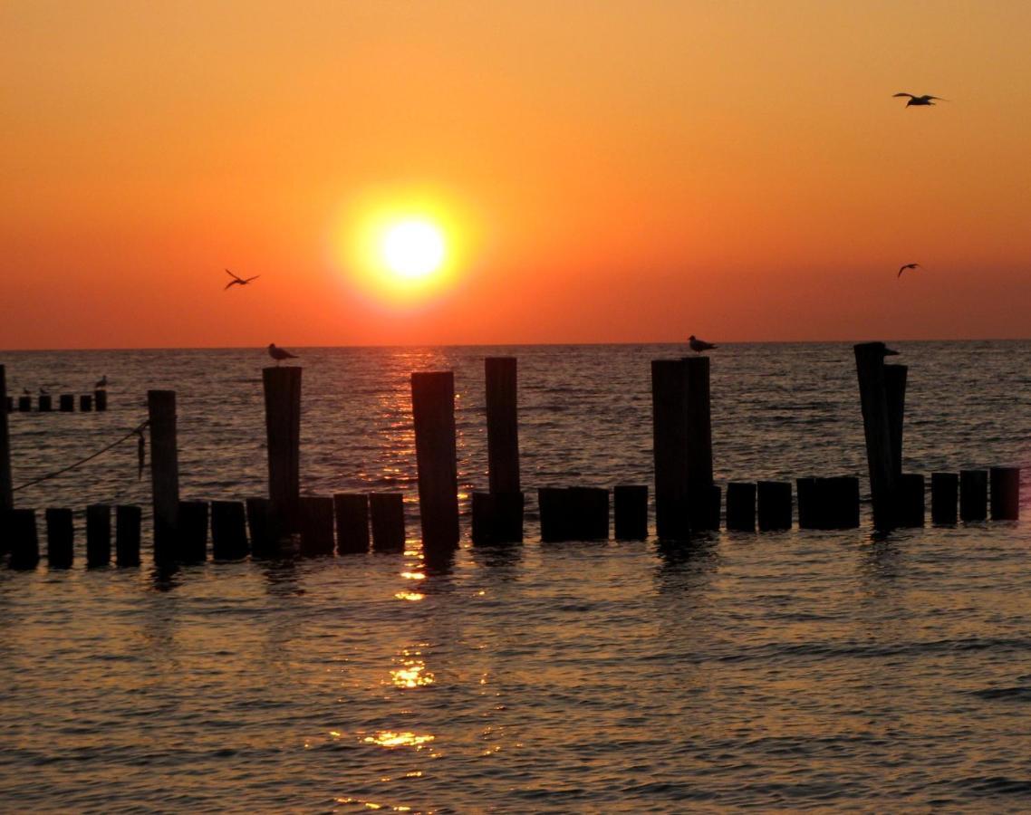 Doppelhaushaelfte Birkenstrasse 5E Villa Zingst Buitenkant foto